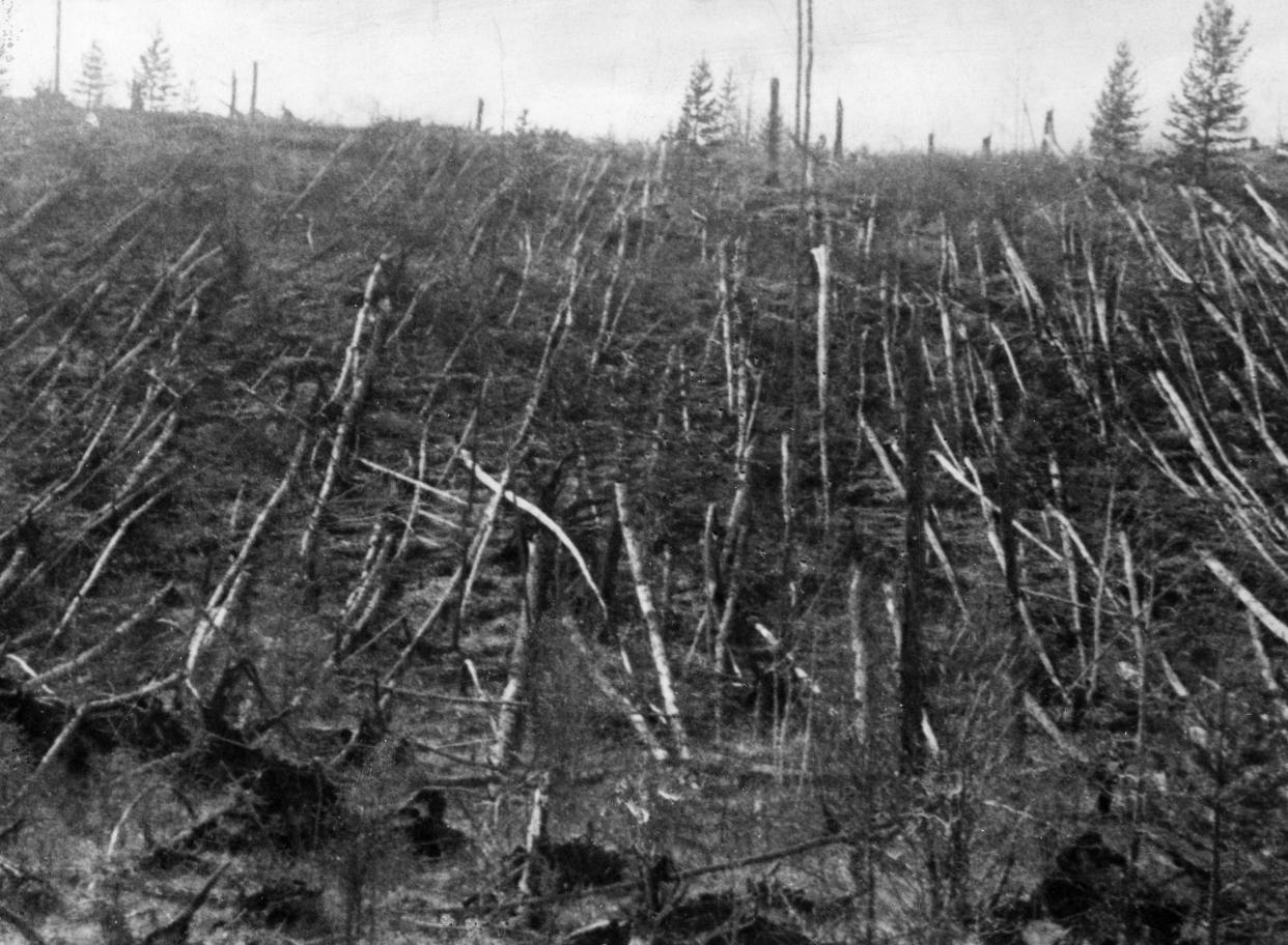 Siberian taiga forest that was flattened by the blast from the tunguska meteorite near where the meteorite fell in 1908, this picture was taken during professor leonid kulik's 1938 expedition to investigate the event. (Photo by: Sovfoto/Universal Images Group via Getty Images)