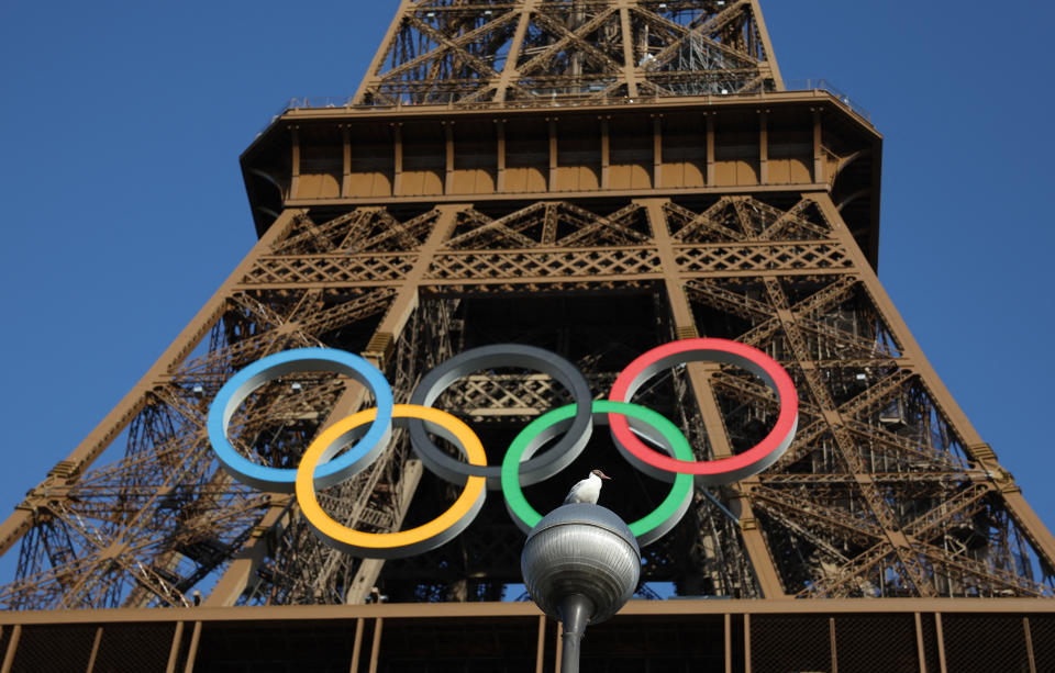 Paris 2024 Olympics - Paris 2024 Olympics Preview - Paris, France - July 20, 2024 A bird is pictured as the Olympic rings are seen on the Eiffel Tower ahead the Paris 2024 Olympic and Paralympic Games REUTERS/Marko Djurica