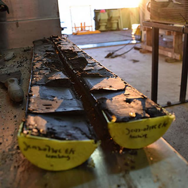 Core samples taken from the seabed