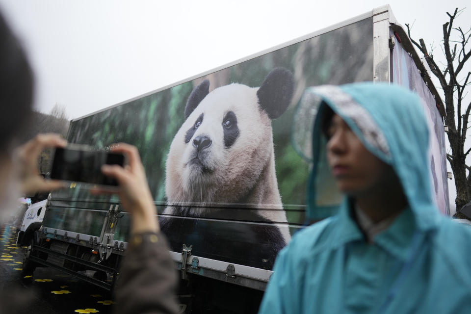 A vehicle carrying Fu Bao, the first giant panda born in South Korea, moves past at the Everland amusement park in Yongin, South Korea, Wednesday, April 3, 2024. A crowd of people, some weeping, gathered at a rain-soaked amusement park in South Korea to bid farewell to their beloved giant panda before her departure to China on Wednesday. (AP Photo/Lee Jin-man)