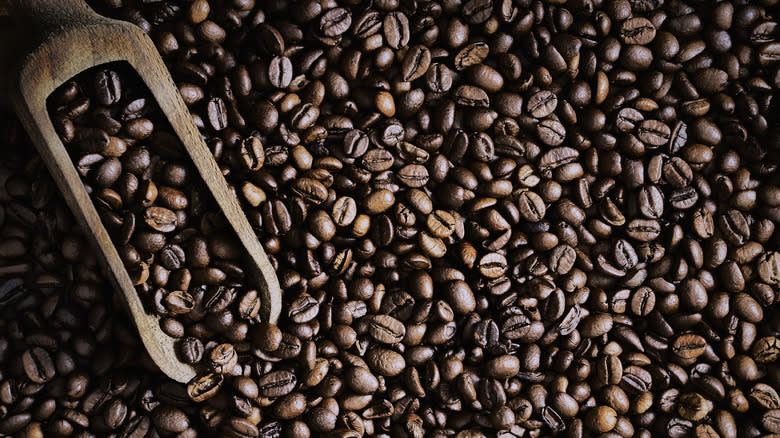 Medium roast coffee beans 