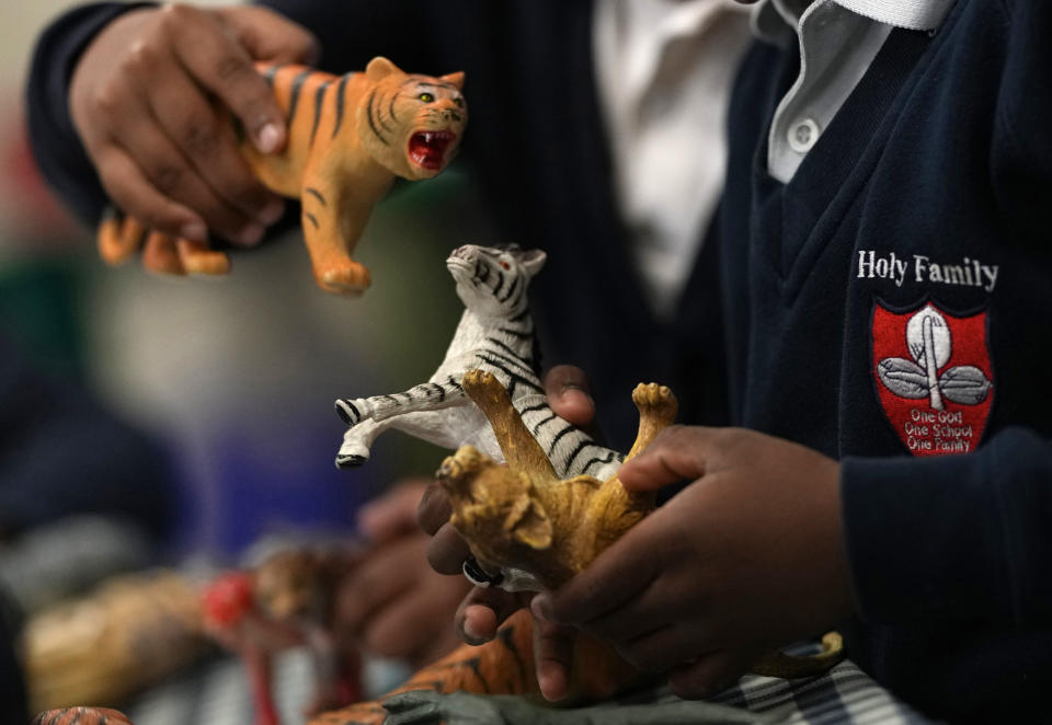 A pupil in reception class plays with plastic toy animals at the Holy Family Catholic Primary School in Greenwich, London, Wednesday, May 19, 2021. (AP Photo/Alastair Grant)