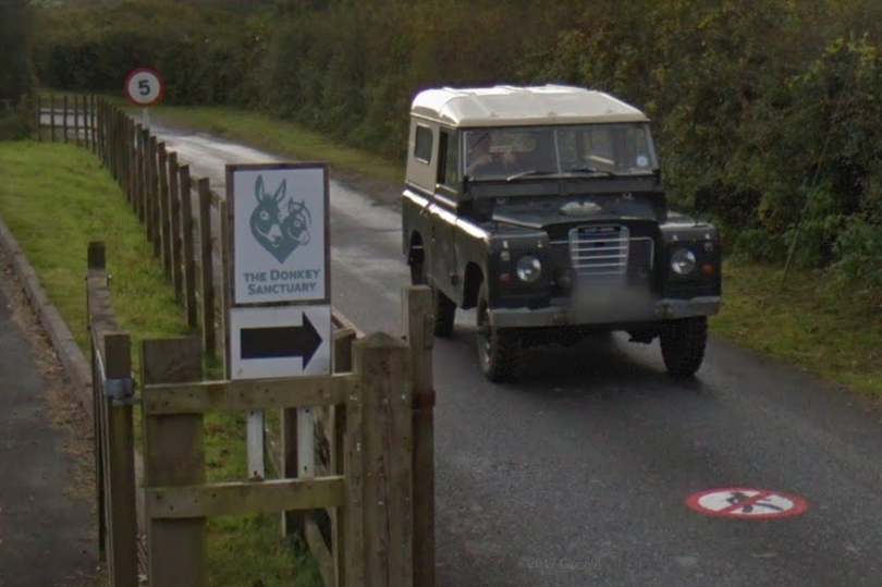 Ivybridge Donkey Sanctuary -Credit:Google