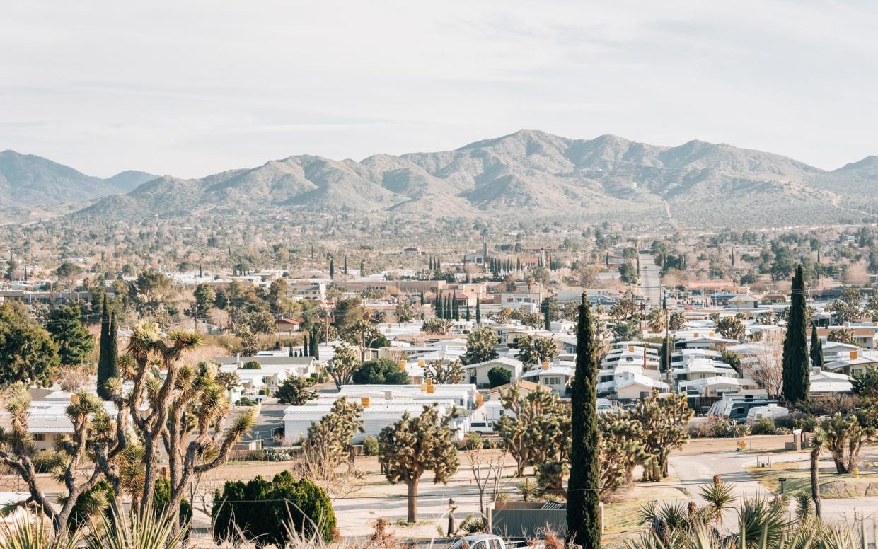 View of the desert town of Yucca Valley, cacti and houses -  Jon Bilous/Getty Images/iStockphoto