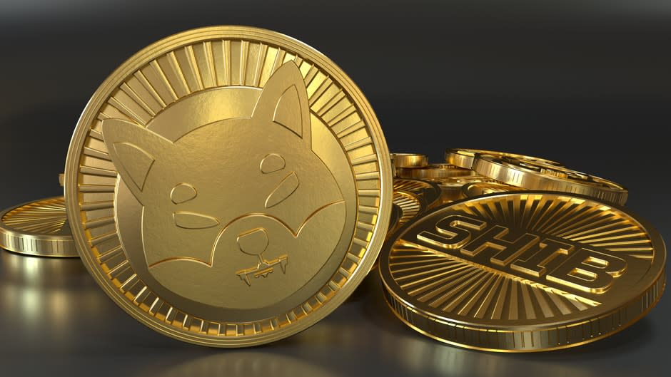 Shiba Inu Outshines Bitcoin In India Amid Meme Coin Frenzy On Premier ...