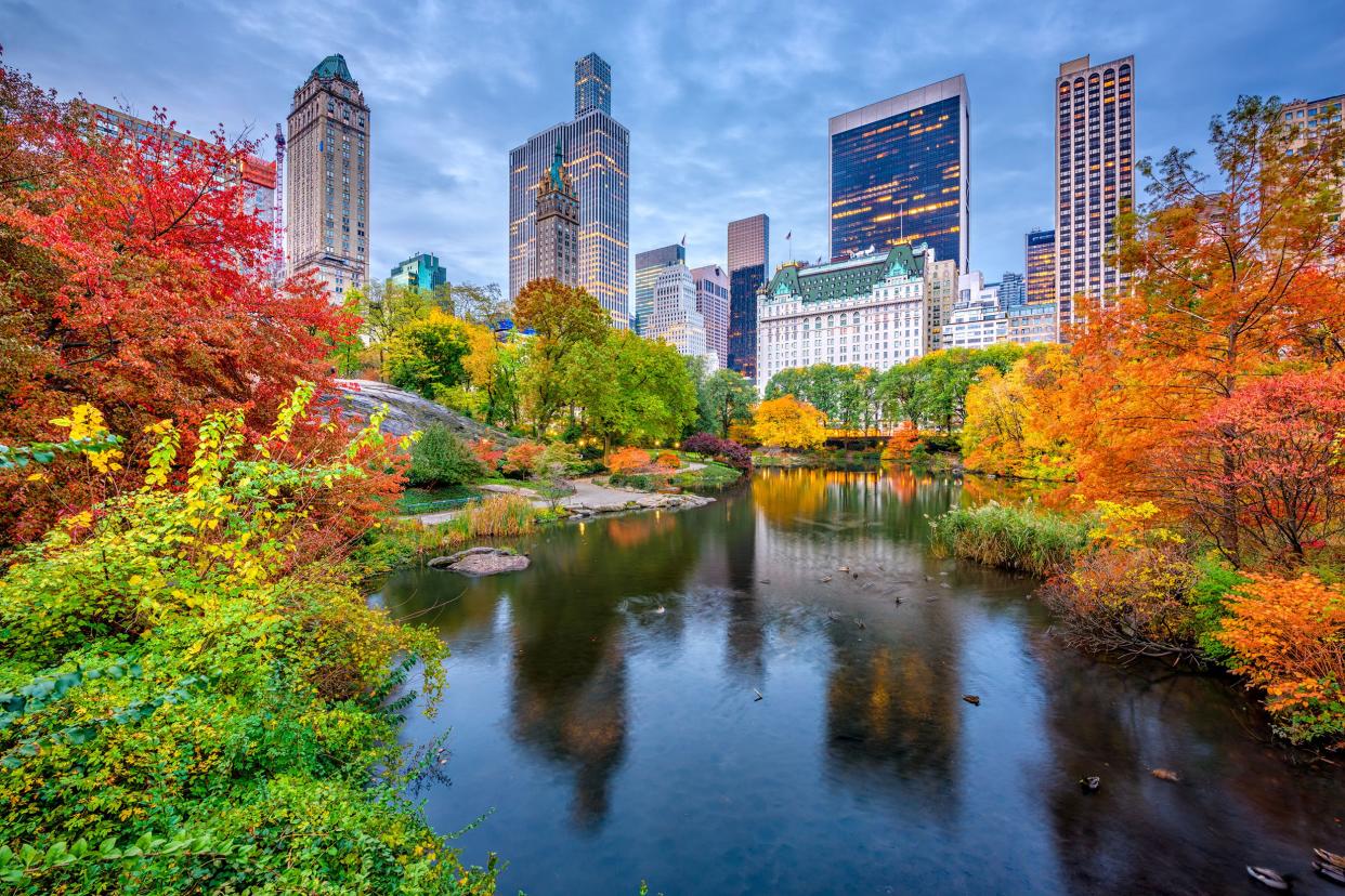 Central Park, New York City