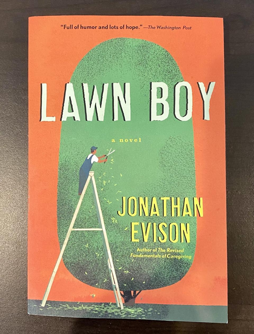 Cover of "Lawn Boy"