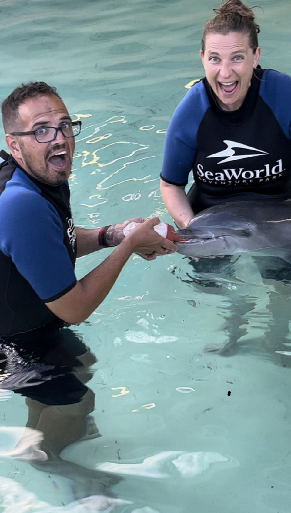 The injured baby dolphin began feeding from a bottle as his condition improved. (Photo: SeaWorld Orlando)