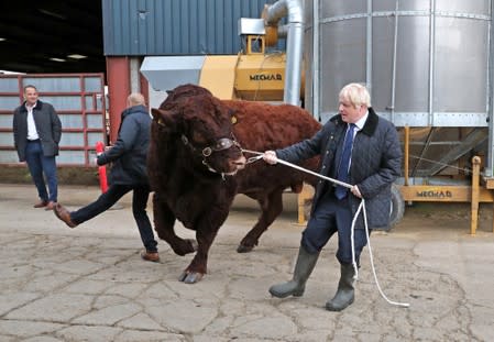 FILE PHOTO: Britain's Prime Minister Boris Johnson visits Darnford Farm in Darnford, Banchory near Aberdeen