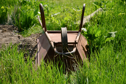 <span class="caption">Is this for wheel?</span> <span class="attribution"><a class="link " href="https://www.shutterstock.com/image-photo/inverted-garden-wheelbarrow-lies-on-grass-1085925485" rel="nofollow noopener" target="_blank" data-ylk="slk:Iryna Demydenko;elm:context_link;itc:0;sec:content-canvas">Iryna Demydenko</a></span>