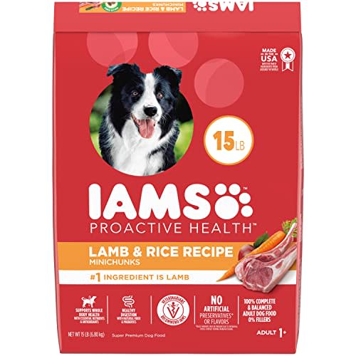 IAMS Adult Minichunks Dry Dog Food (Amazon / Amazon)