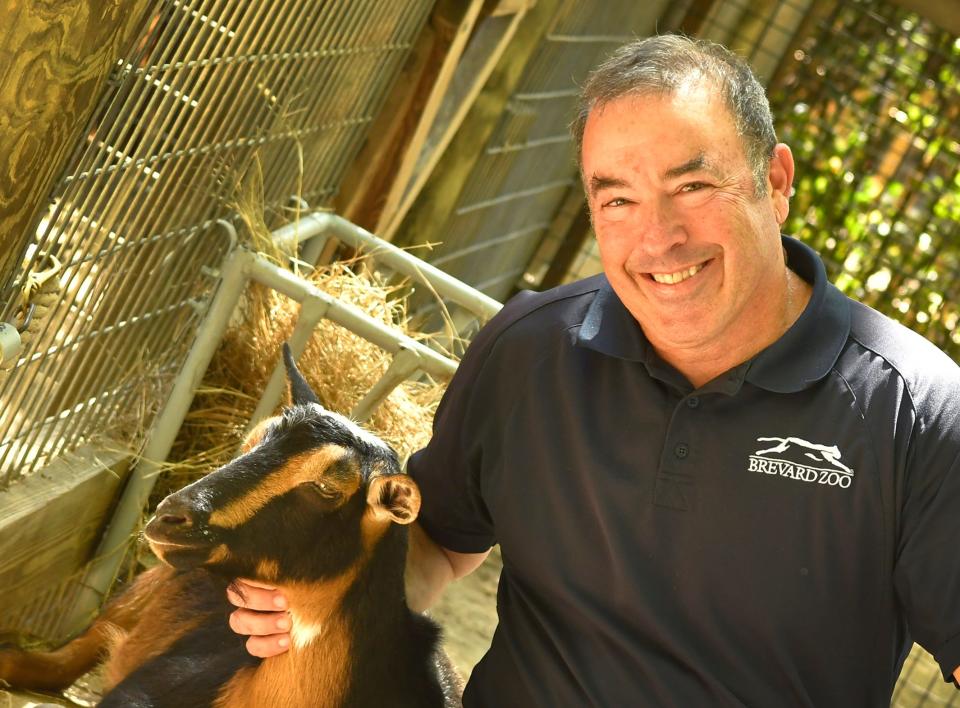 Zoo CEO Keith Winsten, with Trix, a goat at the petting zoo. The Brevard Zoo in Viera will be observing their 30th year since opening by holding celebrations on March 23-24, and then on the 30th day of every month through the rest of the year.