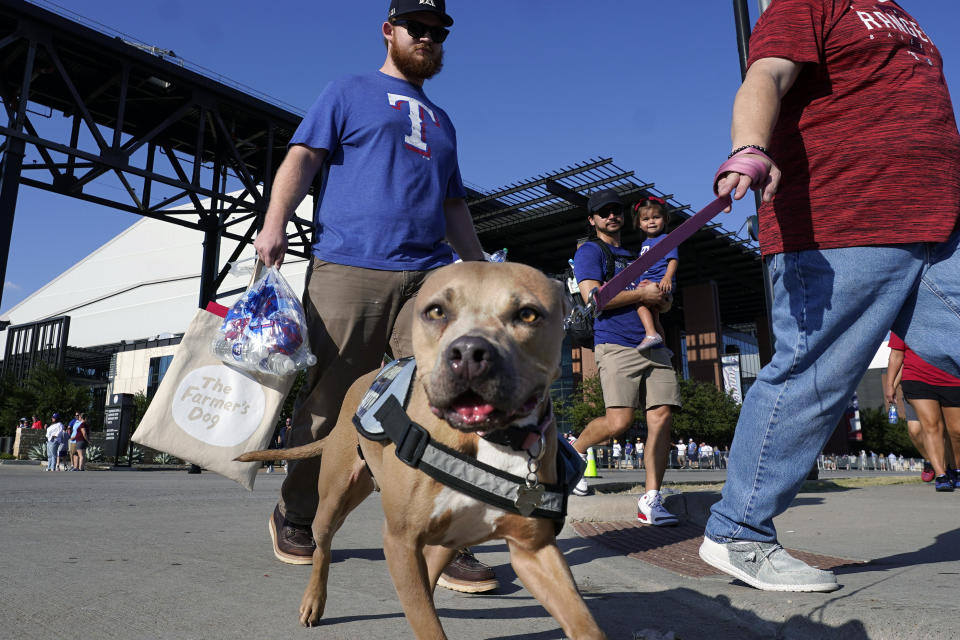 Fans leaving a sporting event walk in the heat in Arlington, Texas, Saturday, Aug. 19, 2023. (AP Photo/LM Otero)