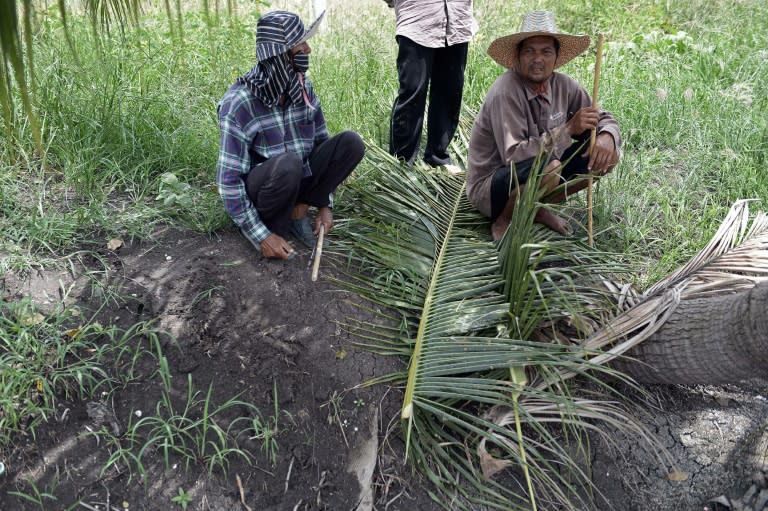 Rice farming communities in Thailand's poor but populous north and northeast are loyal to Shinatwara family, who they laud for recognising their changing economic and social aspirations