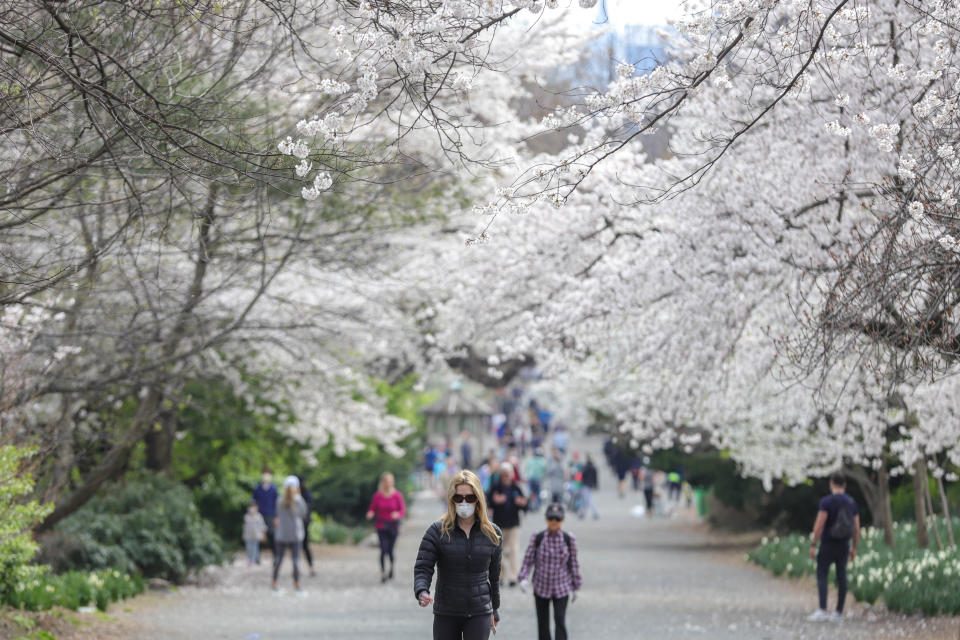 New York is quietly percolating under the surface like a seedling waiting for spring.