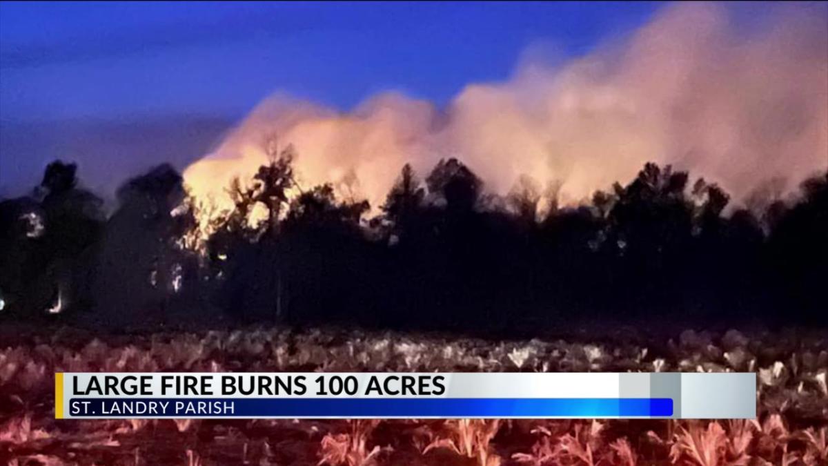 St. Landry Parish reissues statewide burn ban after brush fire