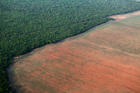 FILE PHOTO: The Amazon rain forest (L), bordered by deforested land prepared for the planting of soybeans, is pictured in this aerial photo taken over Mato Grosso state in western Brazil, October 4, 2015. Picture taken October 4, 2015. REUTERS/Paulo Whitaker/File Photo