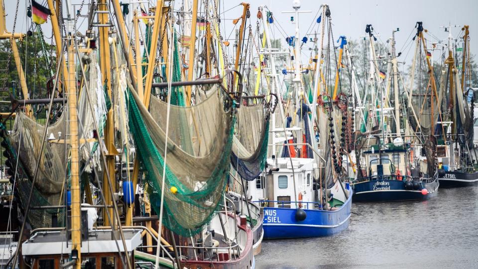 Den Krabbenfischern an der deutschen Nordsee brechen wegen der Corona-Pandemie die Einnahmen weg.