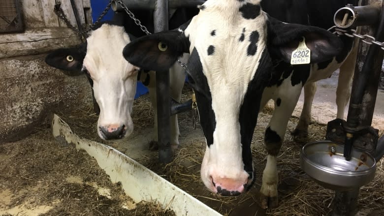 Farmers in Maxime Bernier's riding vote against him for supply management 'lie'