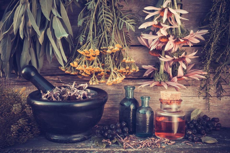 botanical herbs