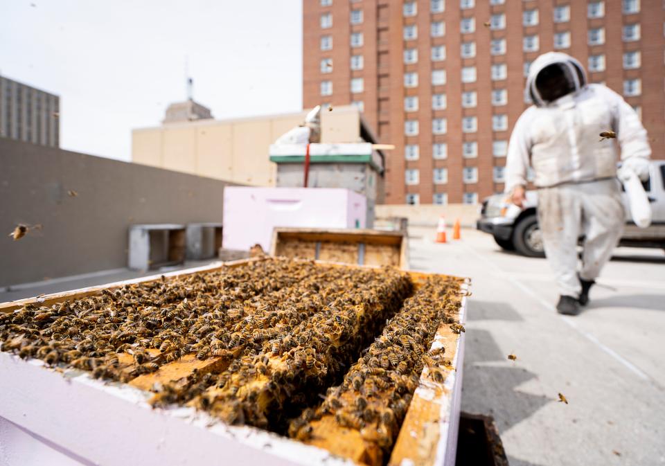 Beekeeper Robert McKinney, owner of MJD Apiary, prepares to inspect the beehive on top of the Hilton Milwaukee City Center parking structure on April 28.