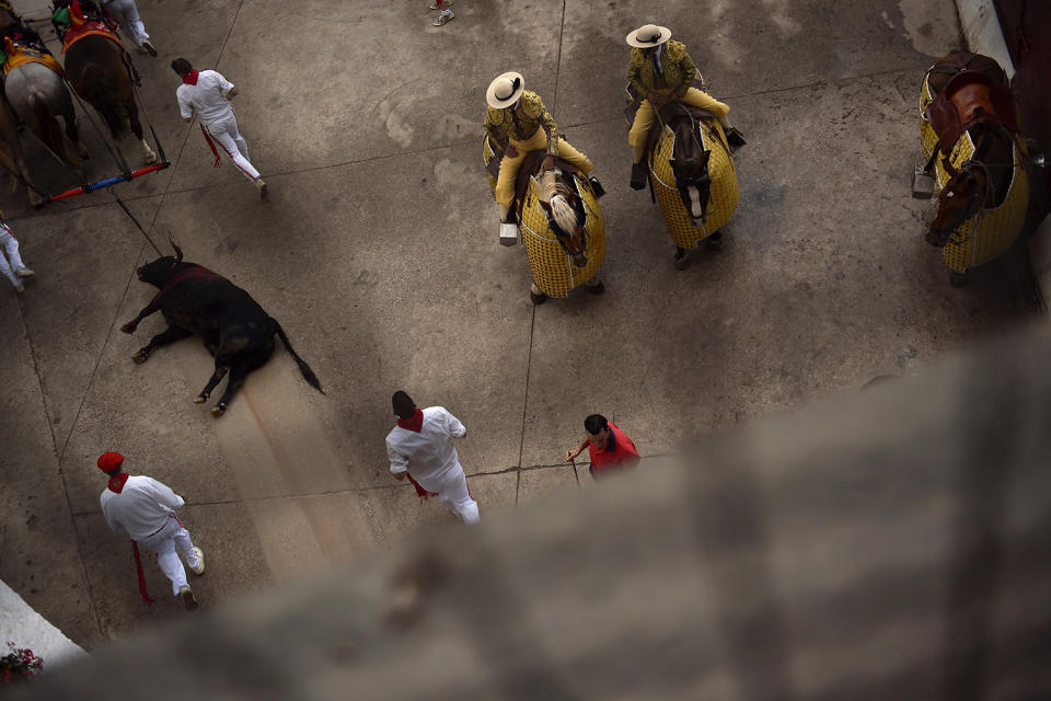 Running of the Bulls in Pamplona, Spain