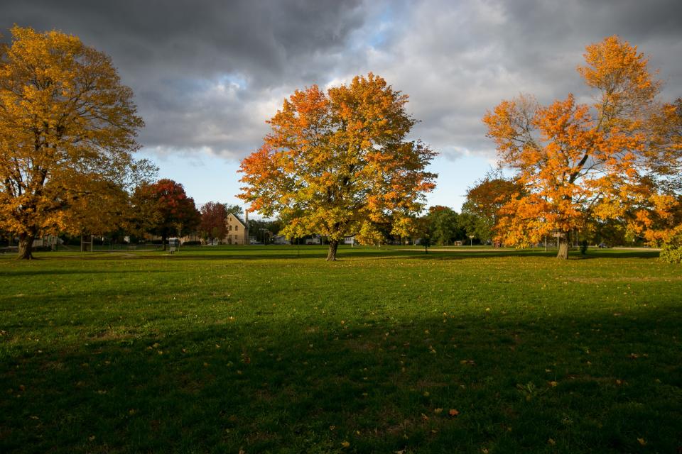 Leaves are changing color as fall arrives on Monday, Oct. 25, 2021, at Brown Park in Rockford.
