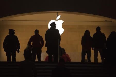 A police officer is silhouetted against the Apple logo in Grand Central Terminal in the Manhattan borough of New York January 13, 2015. REUTERS/Carlo Allegri