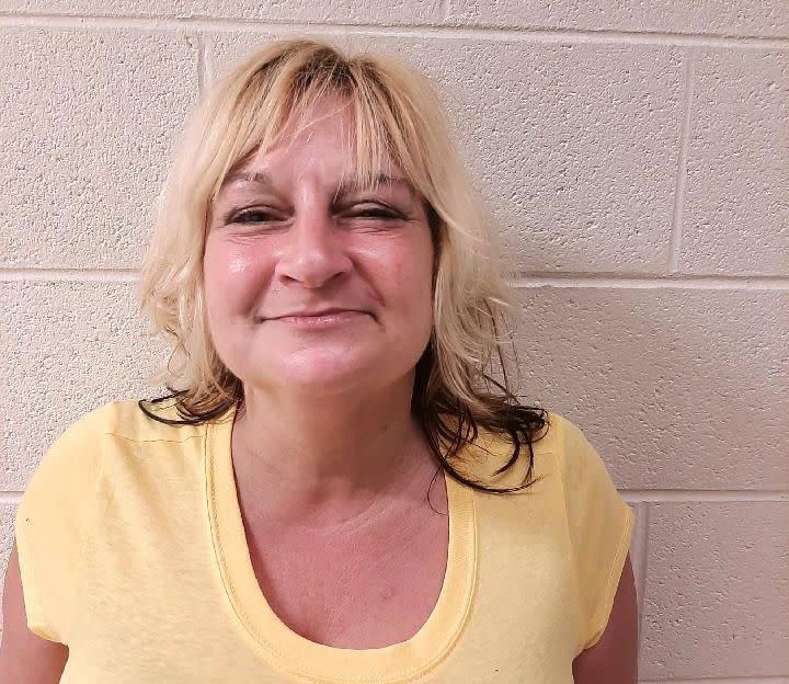 Gail J. Metwally, 47, is currently being held at the Cecil County Detention Center, pending a District Court Commissioner hearing.