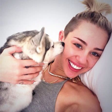 Miley Cyrus with her beloved pooch Floyd. Credit: Instagram
