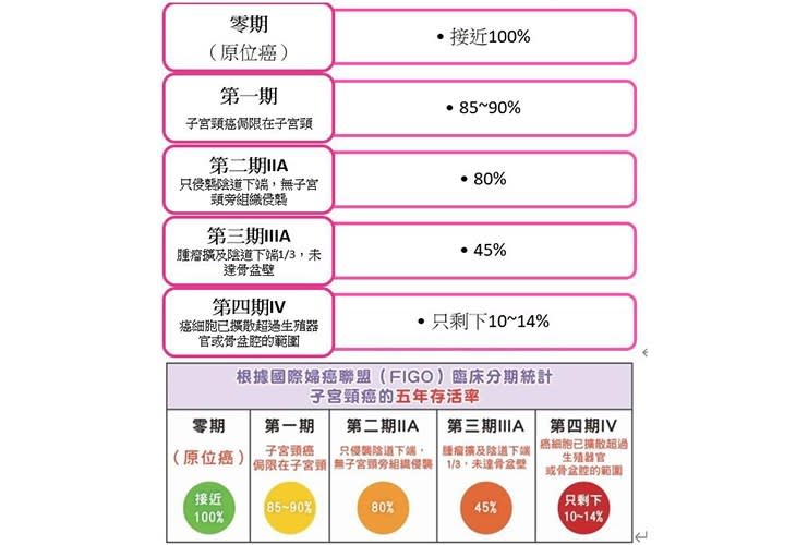 根據國際婦癌聯盟（FIGO）臨床分期統計。（圖片提供／烏日林新醫院）