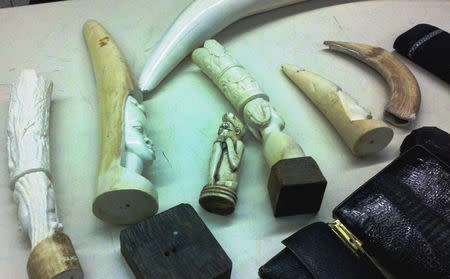 A collection of seized elephant ivory tusks, hippopotamus tusk and purses made of ostrich, stingray, crocodile and elephant skins by U.S. Customs and Border Protection officers at Los Angeles International Airport, California, U.S. are shown from its confiscation on June 27, 2012. Courtesy CBP/Handout via REUTERS/Files