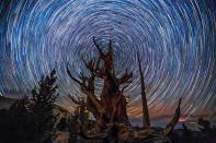 <p>Going forward, the pair plan to release various time-lapse videos from the project over the next year, helping to continue raising awareness for the International Dark Sky Association. (SKYGLOW/CATERS NEWS) </p>