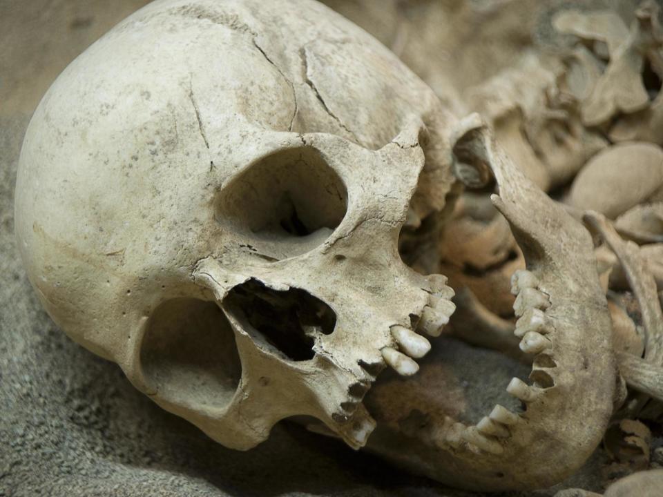 A Tomb with skeleton remains of Neanderthal human beings who had lived in the Mesolithic Period: Getty Images