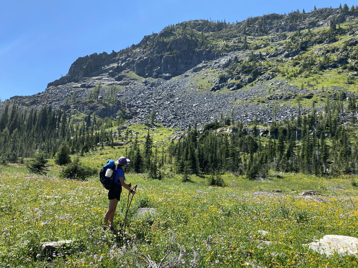 Caminando por el Sendero del Noroeste del Pacífico en Montana. (Nicholas Kristof/The New York Times)