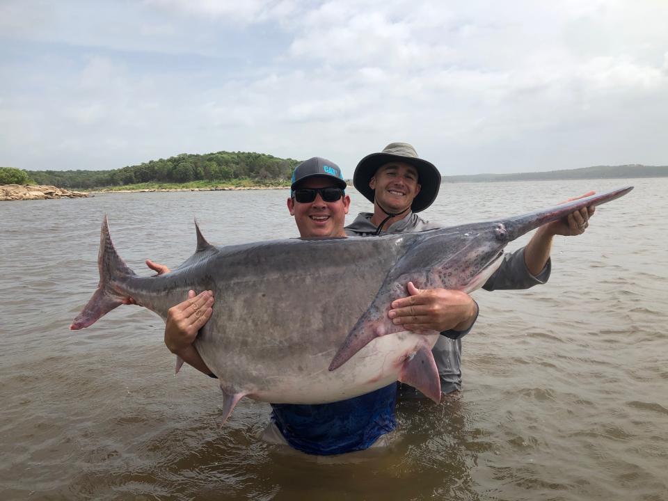 Justin Lukehart of Edmond, Oklahoma, holds the new world record paddlefish he snagged Sunday at Keystone Lake near Tulsa. Assisting is fishing guide Jeremiah Mefford. The fish was released after it was weighed.