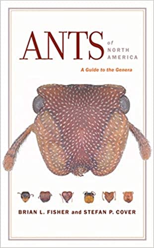 how to get rid of ants of north america guide