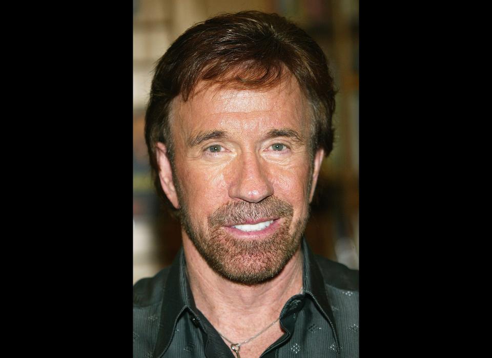 This meme followed hot on the heels of the Vin Diesel Fact Generator. As <a href="http://knowyourmeme.com/memes/chuck-norris-facts" target="_hplink">Know Your Meme</a> explains, the creator of the Vin Diesel Fact Generator "asked people to vote on 12 candidates for the next fact generator or they could write in their own. The winner was Chuck Norris, who wasn’t even on the list! The e-mails for Chuck Norris were unbelievable." The series of Chuck Norris Facts are tongue-in-cheek factoids that intend to show how studly, invincible, tough, and all-around awesome the star is. (i.e. “They once tried to carve Chuck Norris’ face into Mount Rushmore, but the granite wasn’t hard enough for his beard.")