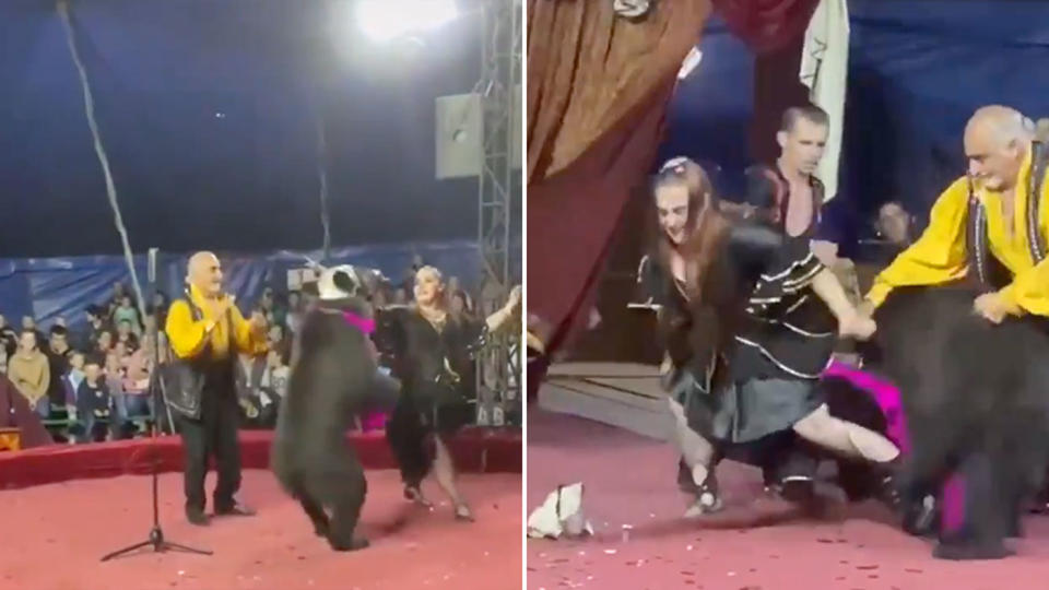 A bear mauled a circus performer in front of a crowd in Russia. Source: Twitter/The Siberian Times