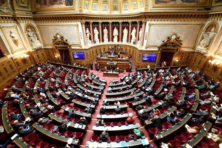 Le Sénat à Paris le 16 juillet 2020 lors d'un discours du Premier ministre Jean Castex - Bertrand GUAY © 2019 AFP