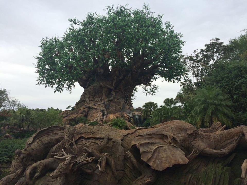 shot of the tree of life at animal kingdom in disney world