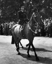 <p>Princess Elizabeth on horseback during the procession.</p>