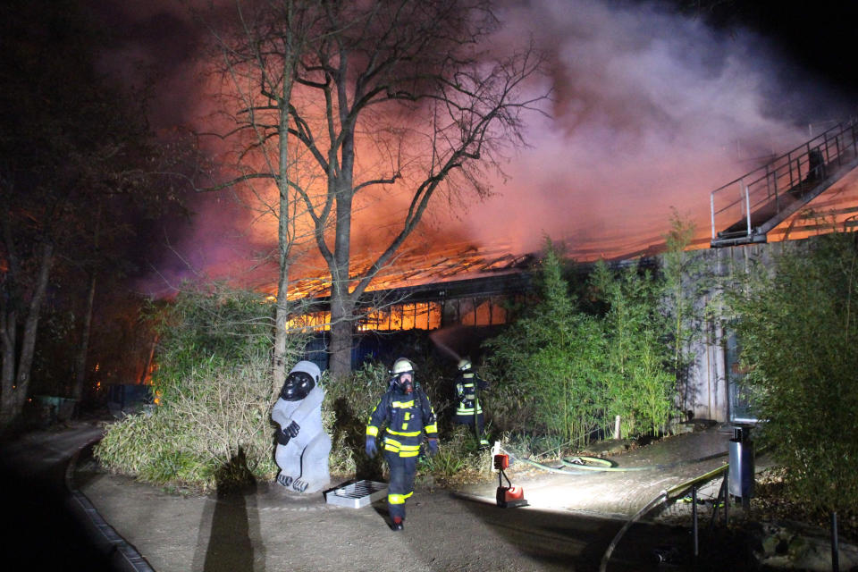 Firefighters stand in front of the burning monkey house at Krefeld Zoo, in Krefeld, Germnay, Wednesday Jan 1, 2020. A fire at a zoo in western Germany killed a large number of animals in the early hours of the new year, authorities said. (Alexander Forstreuter/dpa via AP)