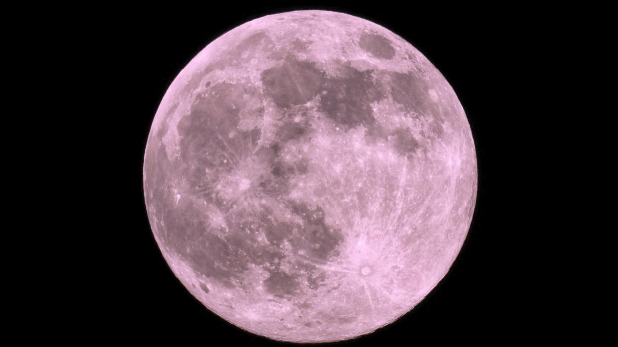  A full pink moon rises in the black sky. 