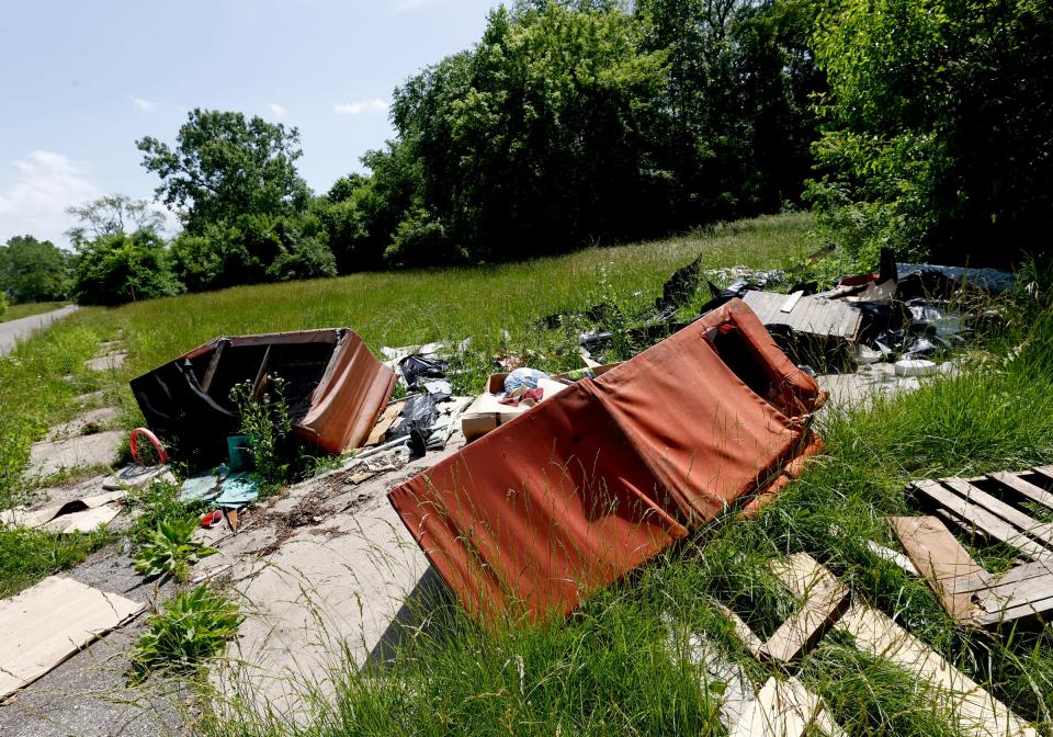 A couple of couches and other items were dumped on Westbrook Street in the Brightmoor area of Detroit on Wednesday, June 15, 2022.