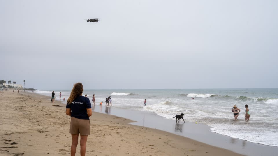 SharkEye's drone pilot, Samantha Mladjov, at Padaro Beach in California. - Courtesy Benioff Ocean Science Laboratory