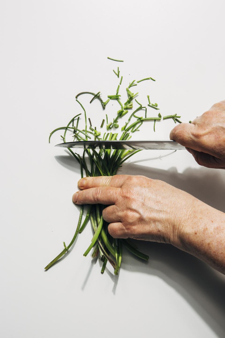 How to Use the Herb Stems You Definitely Shouldn't Be Throwing Away