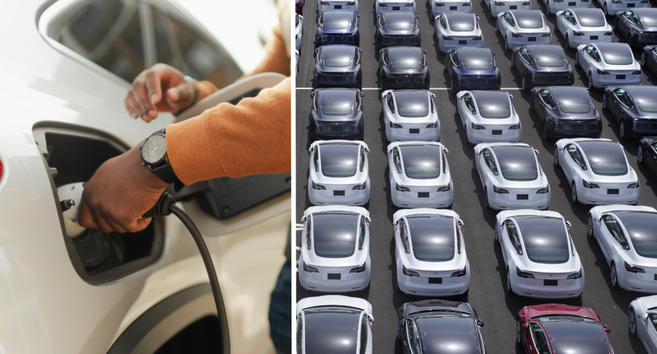 Person charging electric vehicle and fleet of Teslas