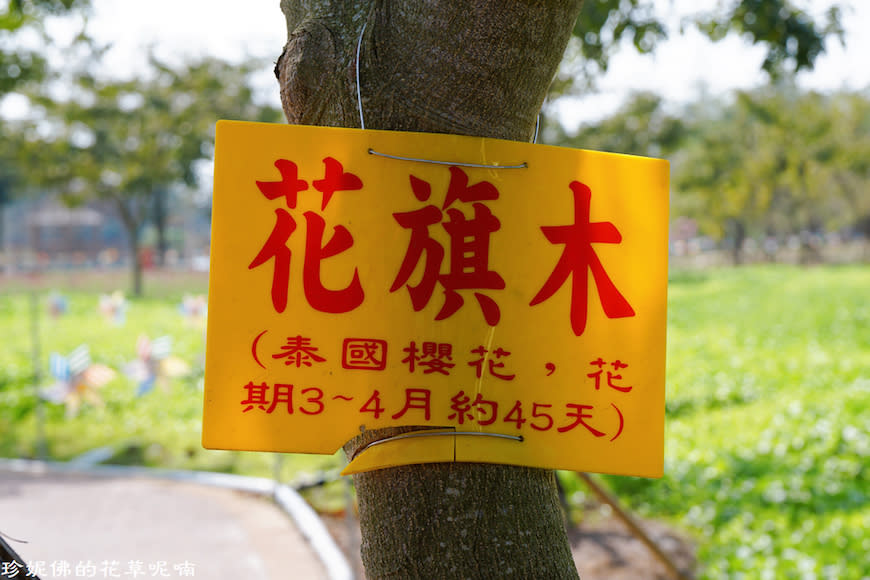 屏東新埤鄉綜合休閒公園｜向日葵花海