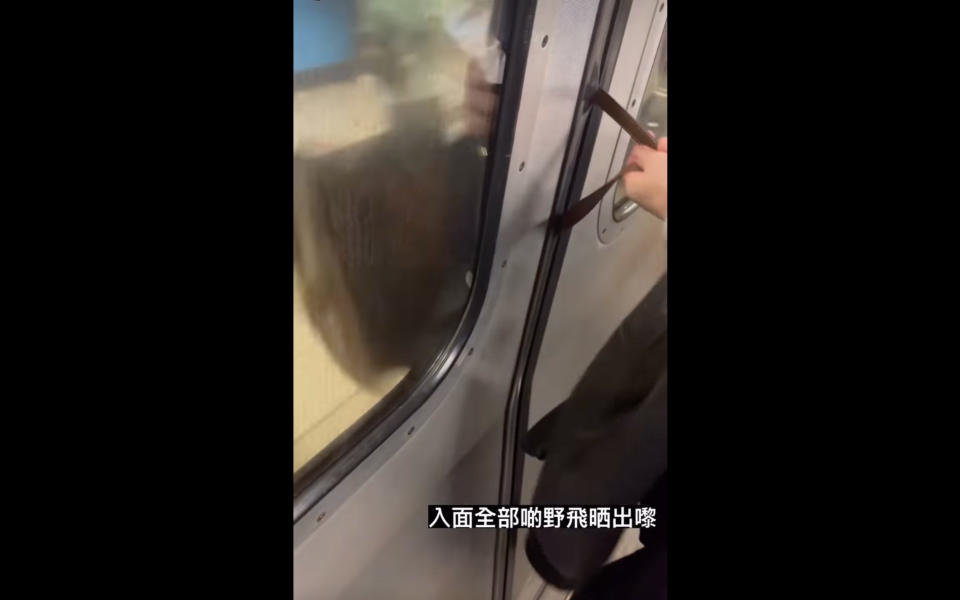 港鐵車門夾手袋 經過多站後仍完好無缺！網民：Celine小牛皮手袋好襟用